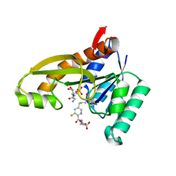 AU of 8fdz by Molmil