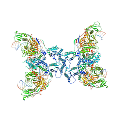 BU of 8ffi by Molmil