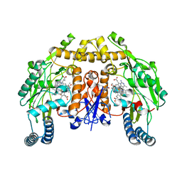 BU of 8fgb by Molmil