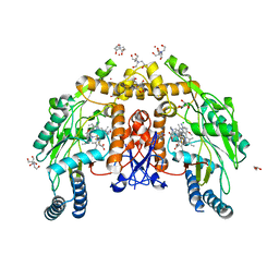 BU of 8fgp by Molmil