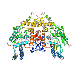 BU of 8fgt by Molmil