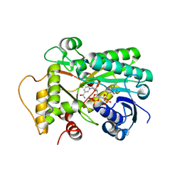 BU of 8fip by Molmil