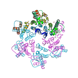 BU of 8fiu by Molmil