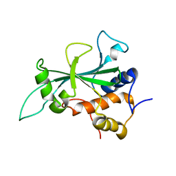 BU of 8fkm by Molmil