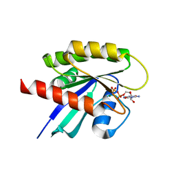 BU of 8fmi by Molmil