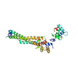 BU of 8fms by Molmil