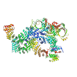 BU of 8fn4 by Molmil