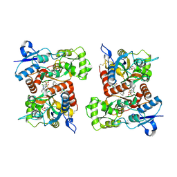 BU of 8fpc by Molmil