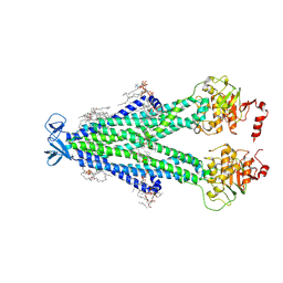 BU of 8fpf by Molmil