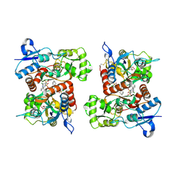 BU of 8fpv by Molmil