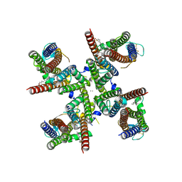 BU of 8fq1 by Molmil