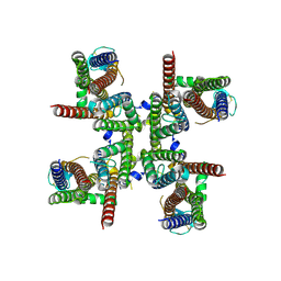 BU of 8fq5 by Molmil