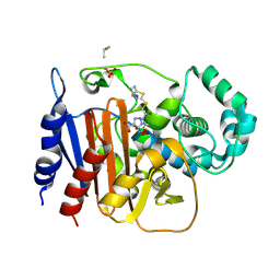 BU of 8fqs by Molmil