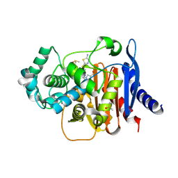 BU of 8fqu by Molmil