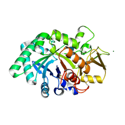 BU of 8frb by Molmil