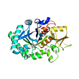 BU of 8frc by Molmil