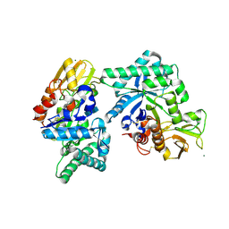 BU of 8frd by Molmil