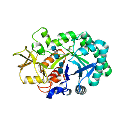 BU of 8frg by Molmil