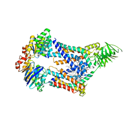 BU of 8frl by Molmil