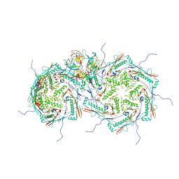 BU of 8frs by Molmil