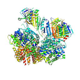 BU of 8fs4 by Molmil