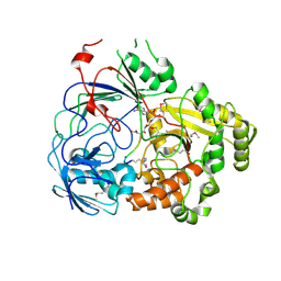 BU of 8fss by Molmil