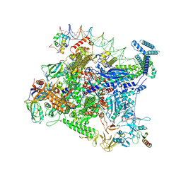 BU of 8ftd by Molmil