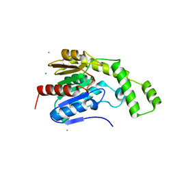 BU of 8ftp by Molmil