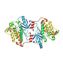 BU of 8fv4 by Molmil