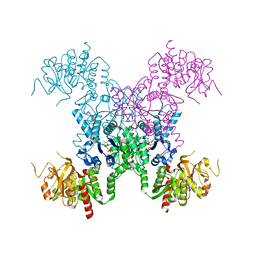 BU of 8fv6 by Molmil