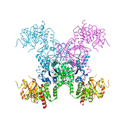 BU of 8fv7 by Molmil