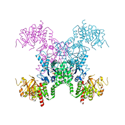 BU of 8fvc by Molmil