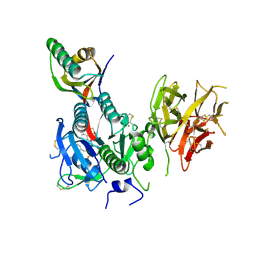 BU of 8fvp by Molmil