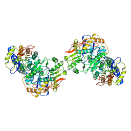 AU of 8fwt by Molmil