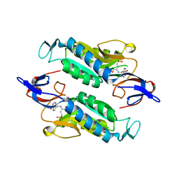 BU of 8fx0 by Molmil