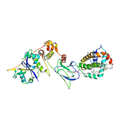 BU of 8fy1 by Molmil