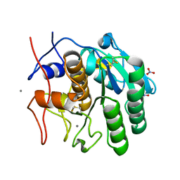 AU of 8fyp by Molmil