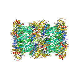 BU of 8fz6 by Molmil