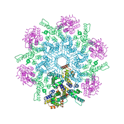 BU of 8fzc by Molmil