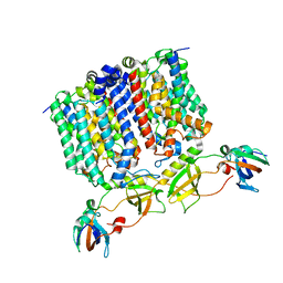 BU of 8g01 by Molmil