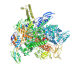 BU of 8g1s by Molmil