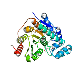 BU of 8g20 by Molmil