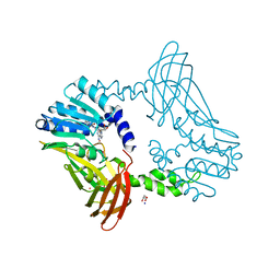 BU of 8g2h by Molmil