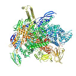 BU of 8g2w by Molmil