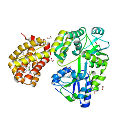 BU of 8g3x by Molmil