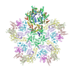 BU of 8g6m by Molmil