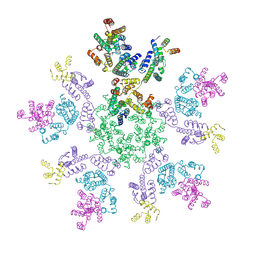 BU of 8g6o by Molmil