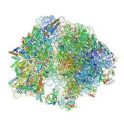 BU of 8g6w by Molmil