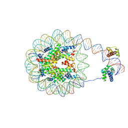 BU of 8g8b by Molmil