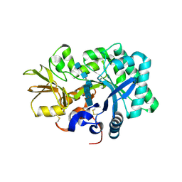 BU of 8gca by Molmil